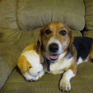 Meet your Posher, Noah